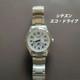 Citizen Eco-Drive Wristwatch GMT Silver Stainless Date Ready to Use Now