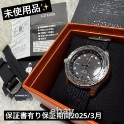 Porter / Citizen Gmt World Time