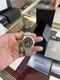 Seiko 5 Sports Mens Field Deploy Automatic GMT Watch SSK023K1good Luck Bidding